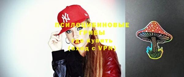 apvp Пересвет